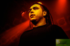 5Sasquatch-Alx (3) (2)