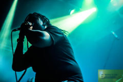 5Sasquatch-Alx (8) (2)