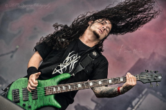 Cryptopsy1 (2)
