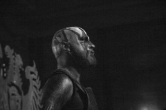 varg12 (2)