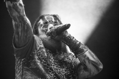 varg3