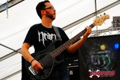 BB13SA-Larry (20) (2)