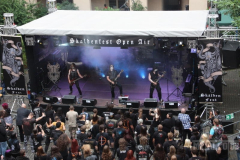 Skaldenfest170617 (119) (2)