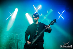 Necrotted-16