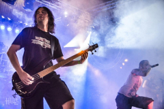 MFF14-SA-FH (28) (2)