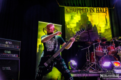 Chopped-In-Half-9