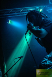 5Sasquatch-Alx (10) (2)