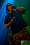5Sasquatch-Alx (2) (2)