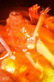 EveOfUltrametal090115-FH (70) (2)