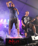 BB2013FR-DJ (208) (2)