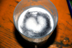 BB2013FR-DJ (401) (2)