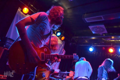 CairoWü080414Brut-FH (38) (2)