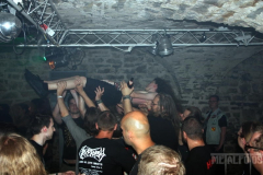 Cryptopsy230617 (262) (2)