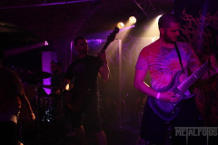 Cryptopsy230617 (6) (2)