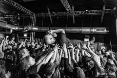 Great-American-Ghost-4