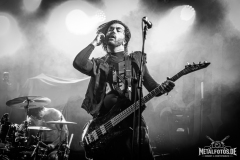 Great-American-Ghost-9