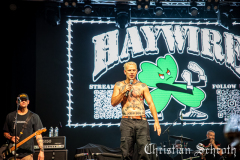 Haywire-04