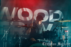 Elwood-Stray-12