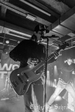 Elwood-Stray-28