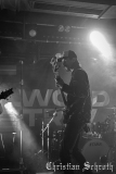 Elwood-Stray-30