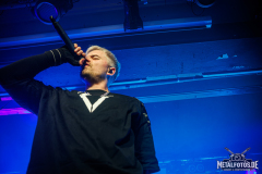 From-Fall-To-Spring-4