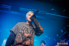 From-Fall-To-Spring-9