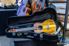 Guitar-Summit-043