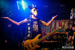 Milking-the-Goatmachine-37