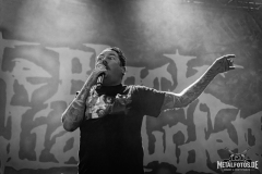 The-Black-Dahlia-Murder-27