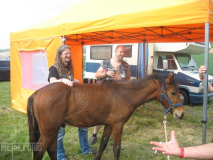 KIT14-SA-DJ (214) (2)