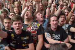 KIT14-SA-FH (31) (2)