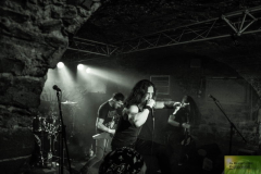 3TrinitySite-ALX (19) (2)