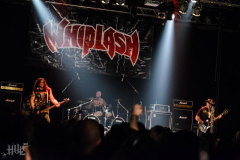 MetalAss310115-FH (163) (2)