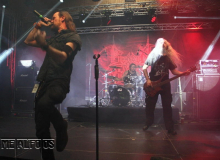 MF19-FR-DJ (172) (2)