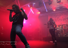 MF19-FR-DJ (206) (2)