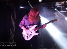 MF19-FR-DJ (275) (2)