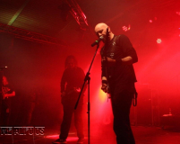 MF19-FR-DJ (341) (2)