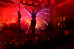 MF19-FR-DJ (381) (2)