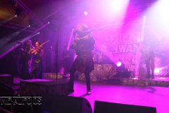 MF19-FR-DJ (436) (2)