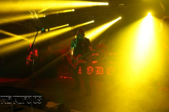 MF19-FR-DJ (479) (2)