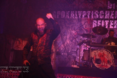 MF19-SA-DJ (262) (2)