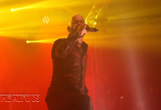 MF19-SA-DJ (343) (2)