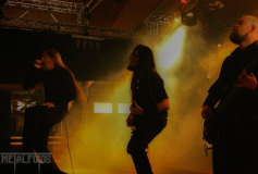 02MF2015-SA-Sin (17) (2)