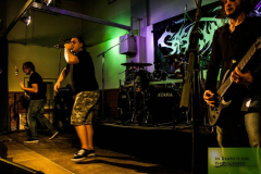 1Sasquatch180114 (12) (2)