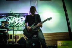 1Sasquatch180114 (25) (2)