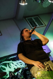 1Sasquatch180114 (29) (2)