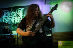 3Orphalis180114 (6) (2)