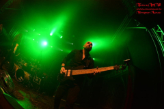 LK2_6977 (2)