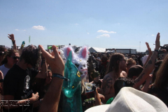 IMG_3992 (2)