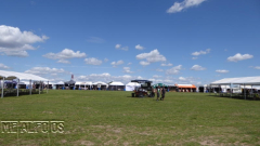 P1090456 (2)